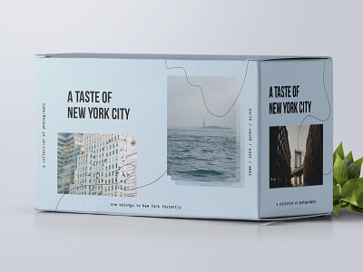 A TASTE OF NYC brand identity branding packaging package materials print materials