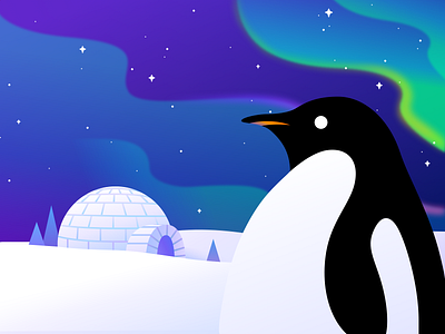 Antarctic Aurora antarctic aurora design illustration penguin ui ux wallpaper