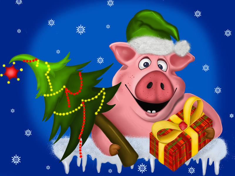 Christmas Pig 2019 by Larisa B. on Dribbble