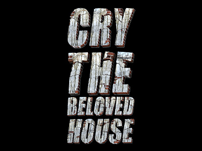 Cry the beloved house 3d brick and mortar design font illustration lettering typography