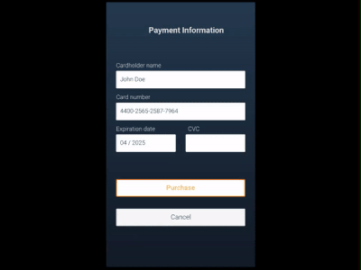 Payment Animation animation card credit payment