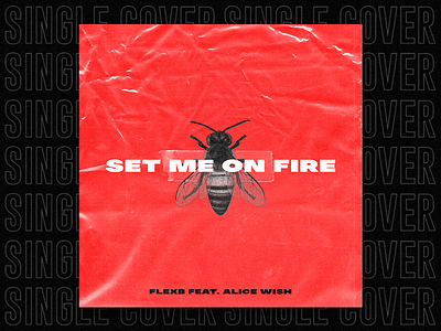 SINGLE | Set Me On Fire