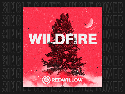 SINGLE | Wildfire