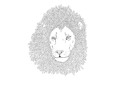 Lion Illustration animal digital illustration illustration line drawing lion