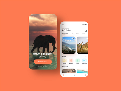 Travel Africa design landingpage typography ui uiux ux