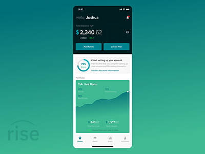 Rise (RiseVest) app banking chart dashboad design figma finance fund invest iphone mobile plans save stats ui uidesign uiux uiuxdesign ux ux design