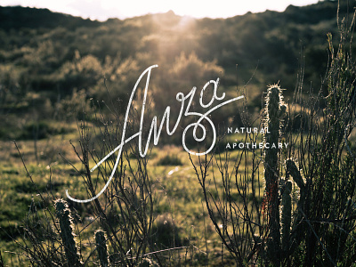 Anza Logo + Photography anza apothecary chaparral natural