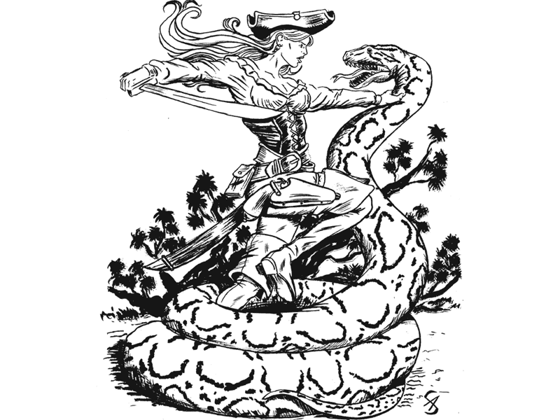 Bonnirvsboa2 bw pen and ink pirate snake