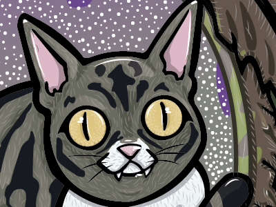 Card Illustracion card cat illustration vectorart