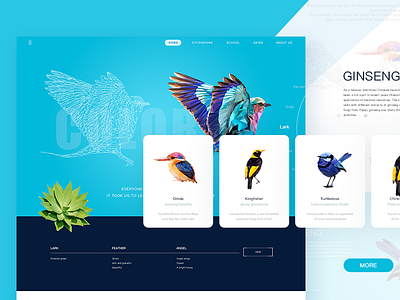 Invisible wings angle bird colour design fly illustrations lovely ui web