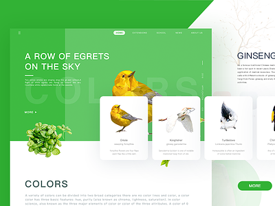 The wings of an angel angle bird colour design fly green illustrations lovely ui web