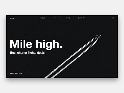 Mile high agency concept design flight landing page travel ui ux webdesign