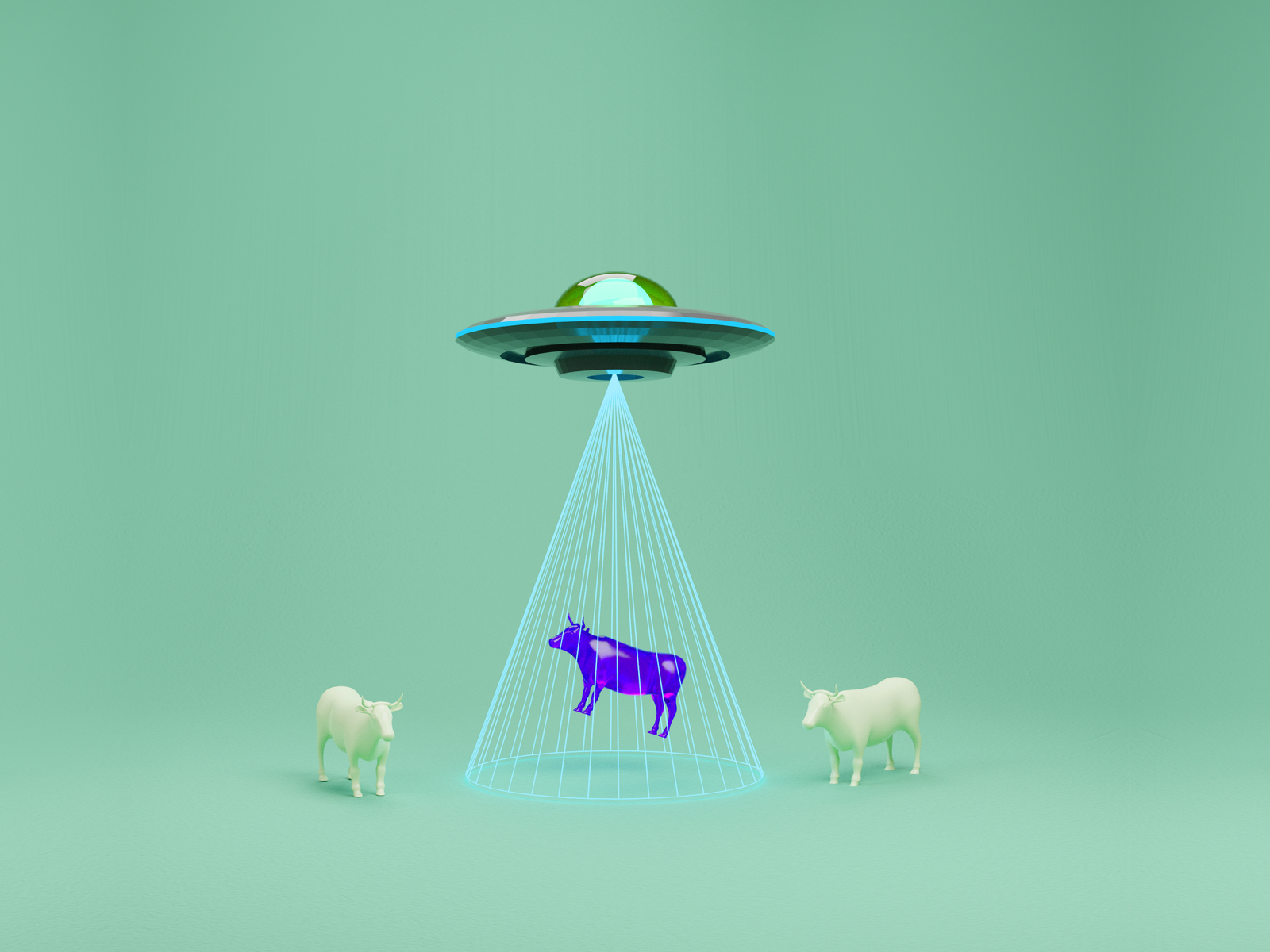 purple-cow-by-dre-agar-on-dribbble