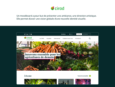 Cirad - UI/UX