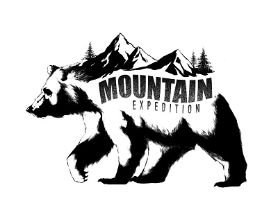 Mountain Expedition bear characters clean design illustration mountain procreate story travel