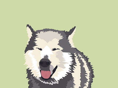 Mizu The Husky Malamute design dog illustration vector