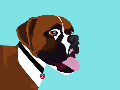 Ali The Boxer design dog illustration vector