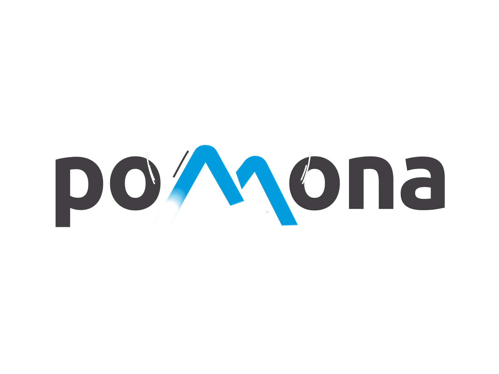 Pomona Logo Animation after effects after effects motion graphics bird animation birds fly animation blue dark gray eagle eagle animation eagle logo logo logo animation motion design motion graphics wings animation
