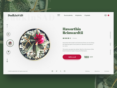 DudkinSAD Online Store Homepage Concept branding design flower green minimal store succulent succulents type typography ui ux web website