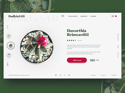 DudkinSAD Online Store Homepage Concept