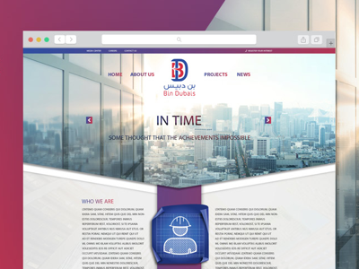 Website design Bindubais design website