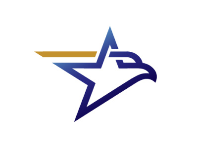 Falcon Star Logo