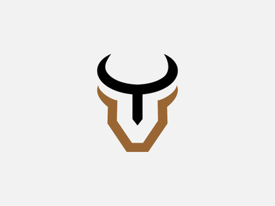 Bull Guard Logo