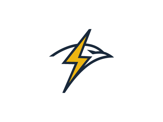 Eagle Power Logo by Dovs on Dribbble