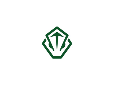 Arrow Frog Logo