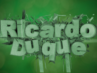 Ricardo Duque 3d art typography