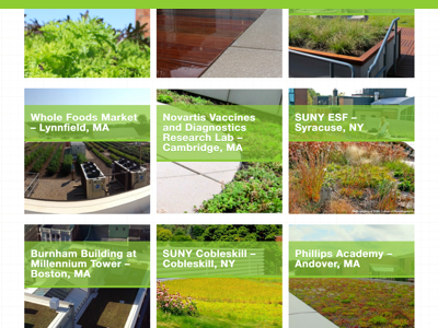 Recover Green Roof's Portfolio Selection filter portfolio search work.