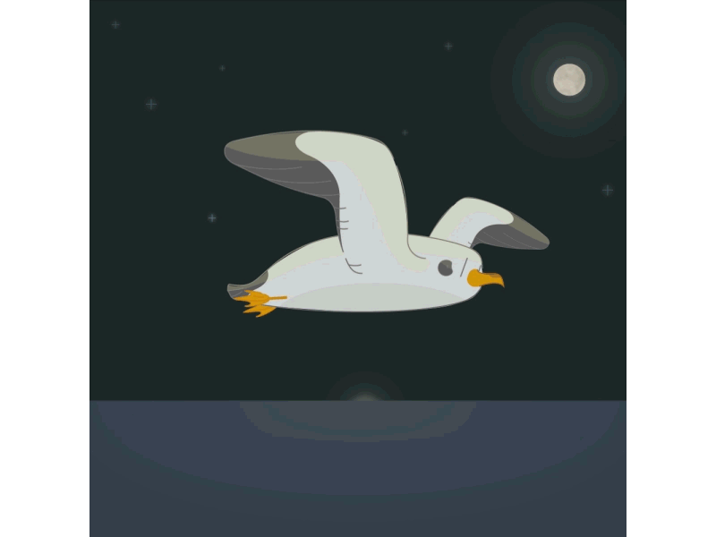 Seagull and sea at night animal animation character illustration moon motion motiongraphics sea seagull