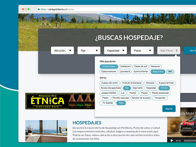 Visitapichilemu.cl search bar filter filter bar holidays holidays website search bar tourist touristic ui user interface ux web website