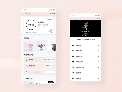 E-commerce VIP UI app branding design ui