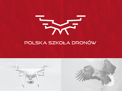 Polska Szkoła Dronów branding drone drones eagle flyer identity illustration logo school vector