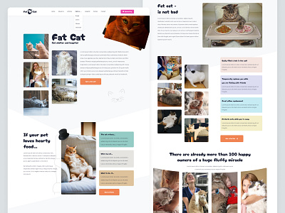 Landing page | Fat Cat