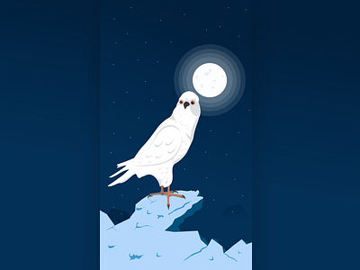 Deep night adobe illustrator affinity designer bird character darkness design illustration illustrations light moon night pencil vector