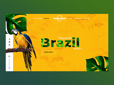 Brazil Landing Page Concept branding business clean dark design flat graphicdesign icon illustration logo minimal simple typography ui ux vector web webdesign webdesigner webdevelopment