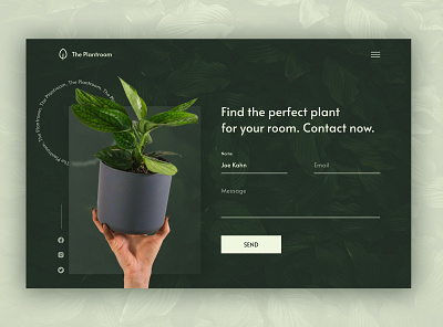 The Plantroom | Contact page concept contact contact form dark dark ui design plant plant website ui ui design uiux ux ux design web web page website