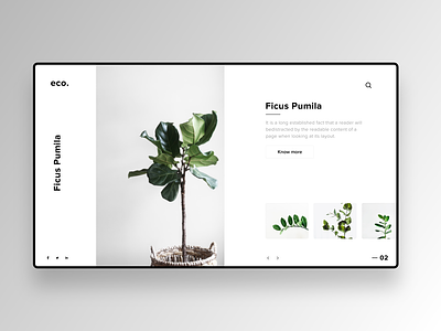 ECO. - Concept clean clean ui eco friendly flat green minimalist plants trees ux white whitespace