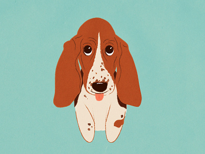 Basset Hound animal basset hound dog graphic design illustration pupper