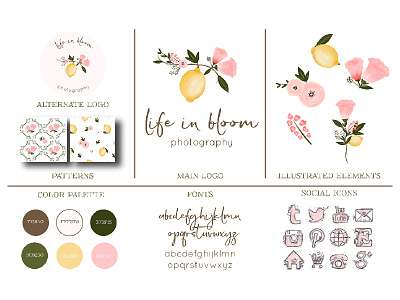 Life in Bloom Branding branding design floral flowers hand drawn illustrated logo pattern
