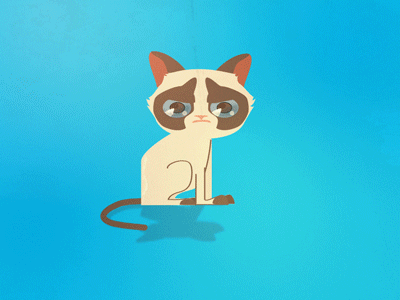 Grumpy Cat bundlin cat explanimation grumpy