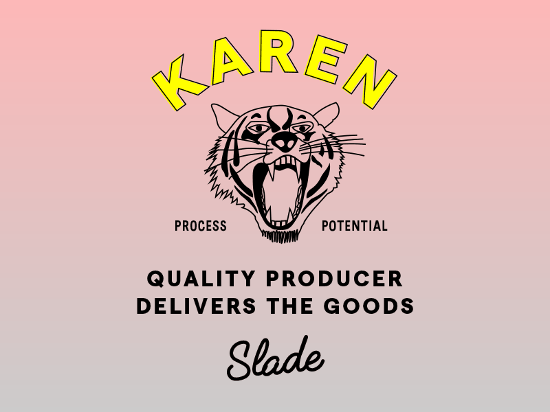 Worksmiths - Karen, Quality Producer avatar badge branding gradient linedrawing london neon screenprint tiger website