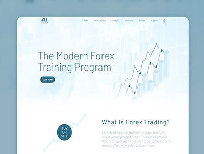Forex Trading Website (Blue & White) Acclimation Academy forex forex trading forex website