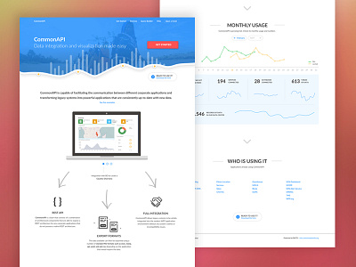 UN WFP CommonAPI Landing Page analytics api bar charts branding chart clean dash board design illustration landing page line line chart one page simple ui user experience ux white