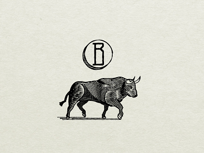 B is for Bull animal b bull hatching ink lines scratchboard shading texture vintage