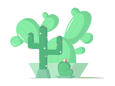 Cacti adobe illustrator cacti cactus decore green illustration nature vector