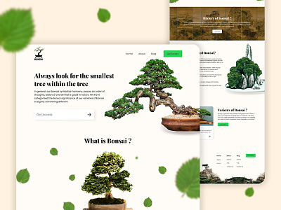 Landing Page - Bonsai design figmadesign landingpage minimal nature photoshop responsive responsive web design responsive website tree trendy ui uidesign uiux ux uxdesign web webdesign webflow website design