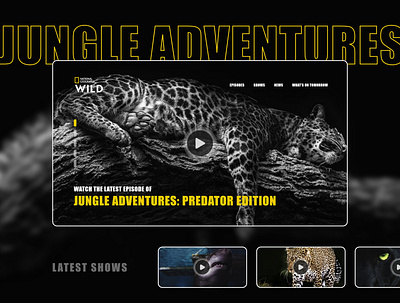 NATIONAL GEOGRAPHICS - Jungle Adventures adventure animal branding cheetah jungle jungle animal jungle predator landing ui national geographics panther redesign shark show tv show ui ux ux ui